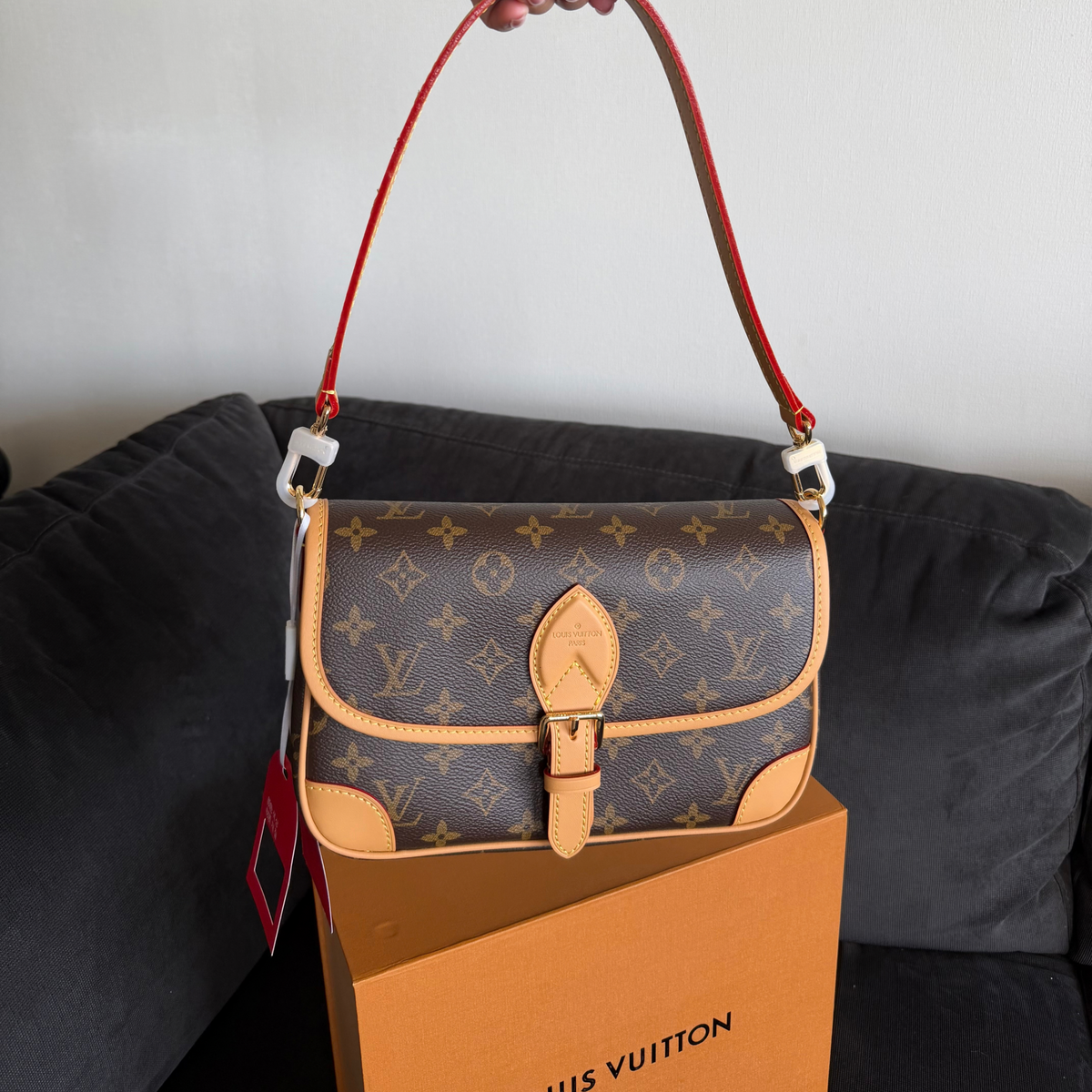 Bolso LV diane monogram