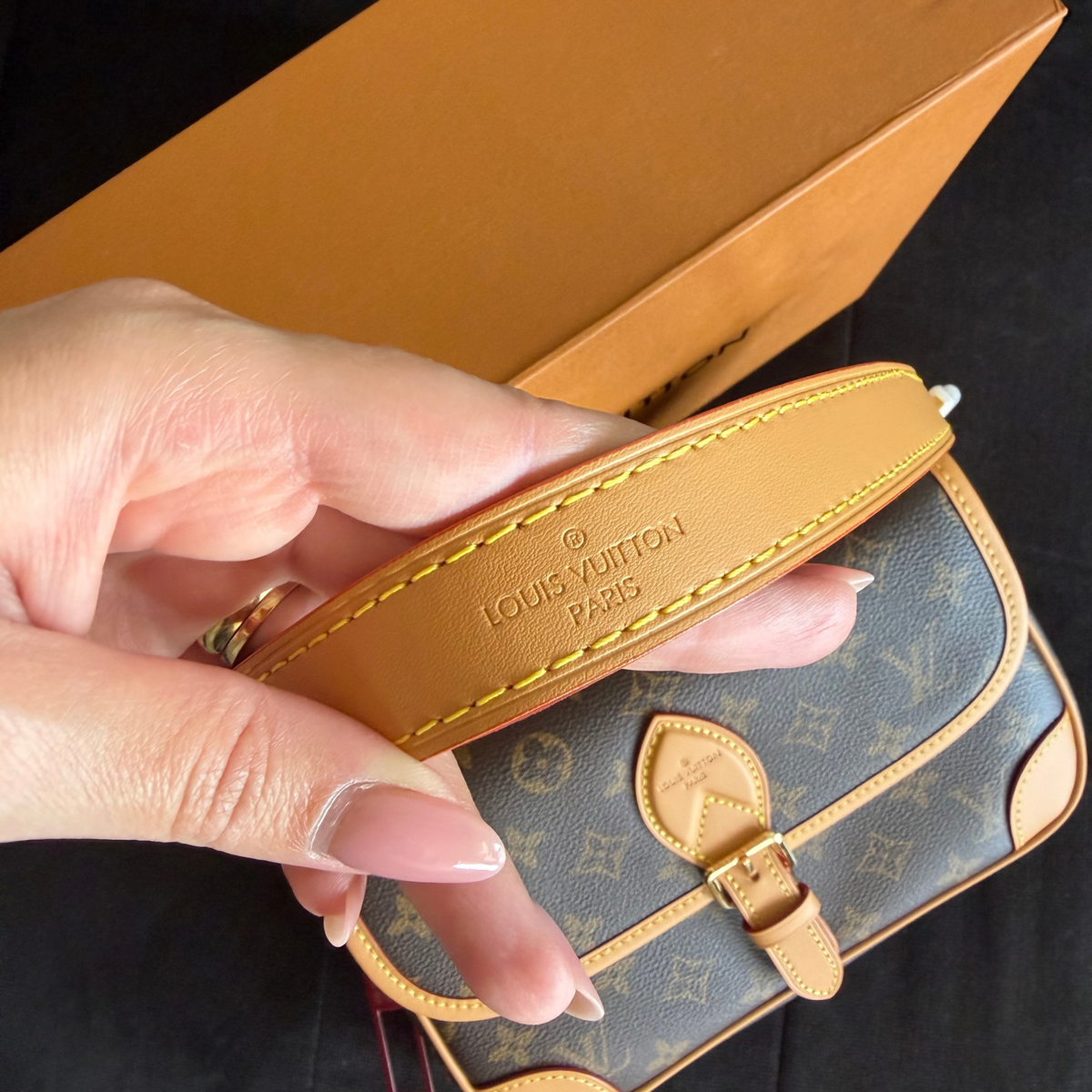Bolso LV diane monogram